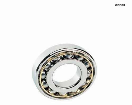 Ball bearing Annex